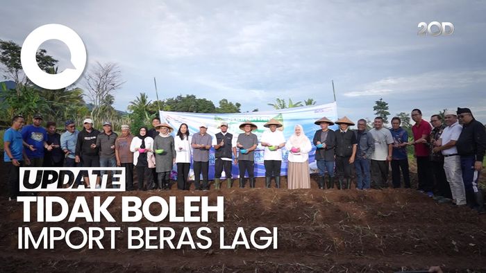 Swasembada Pangan Dimulai dari Desa: Tanam Jagung Bersama Menteri