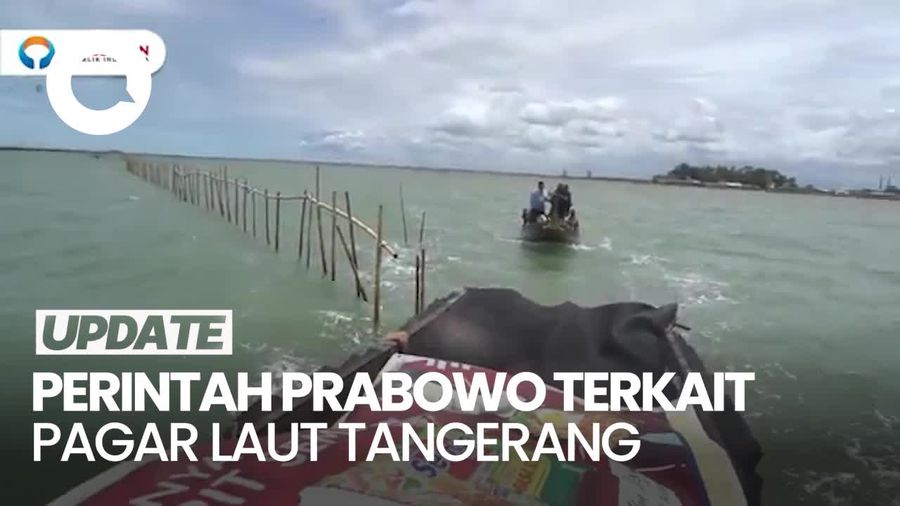 Video: Muzani Sebut Prabowo Perintahkan Pagar Laut di Tangerang Dibongkar