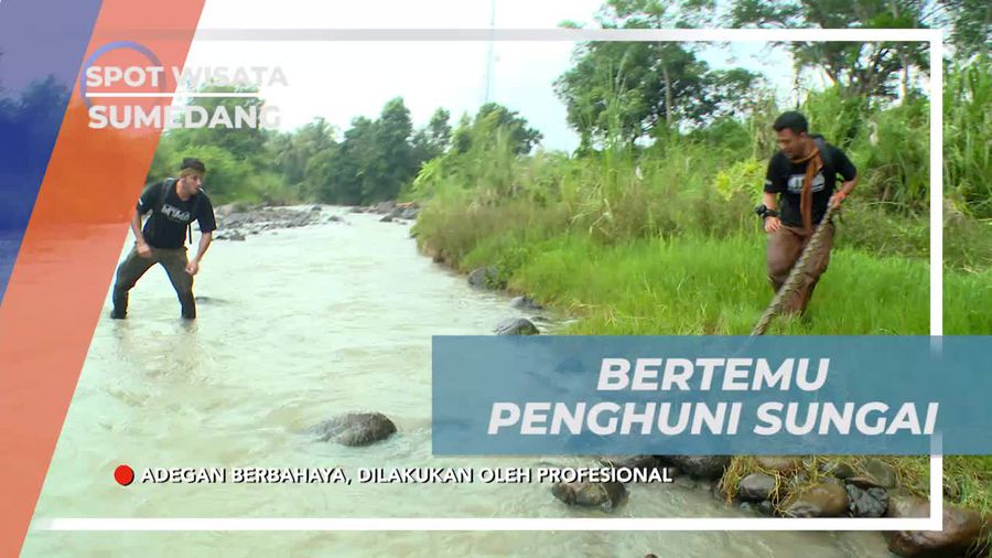 Bertemu dengan Ular Piton di Sungai Cipelang Belendung, Sumedang