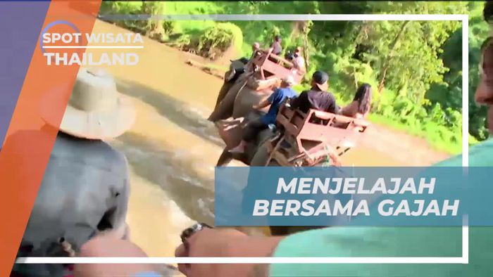 Menjelajah Maetaman Elephant Camp Naik Gajah di Thailand