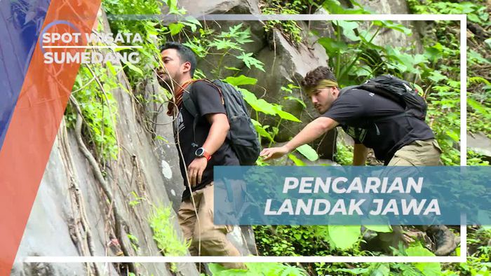Melanjutkan Pencarian Landak Jawa di Sungai Cipelang Belendung, Sumedang