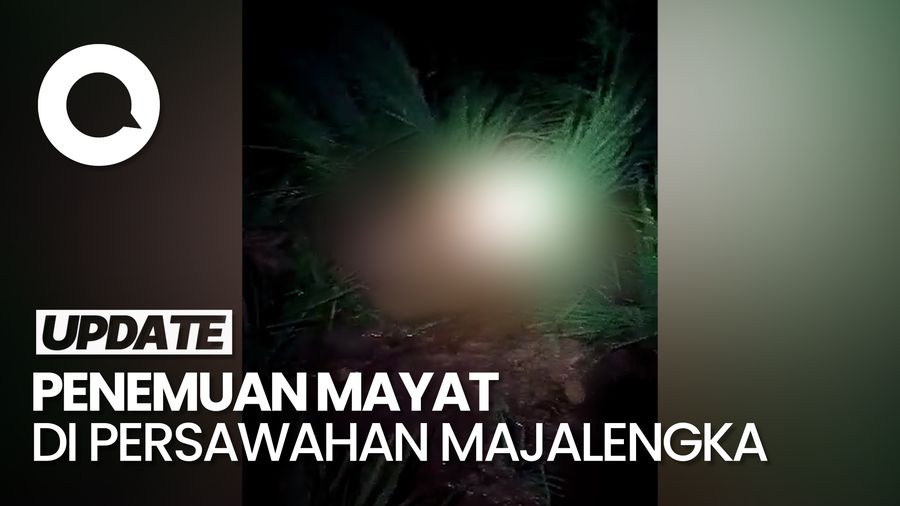 Video: Geger Penemuan Mayat Berlumuran Darah di Sawah Majalengka