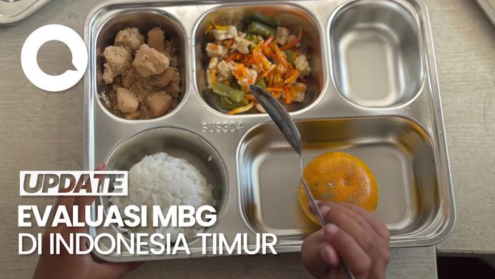 Video Temuan DPD RI di Papua Terkait Pelaksanaan MBG: Masalah Harga