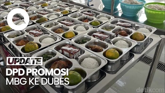 Video DPD Promosi MBG ke Dubes: Tolong, Kalau Negara Luar Ingin Kontribusi