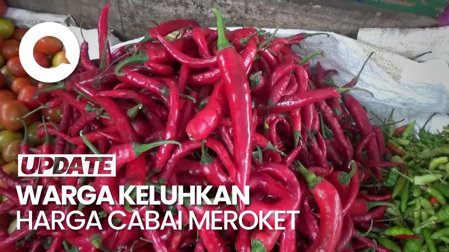 Video: Harga Cabai di Lumajang Jatim Rp 112 Ribu Per Kilogram, Sebelumnya Rp 50 Ribu