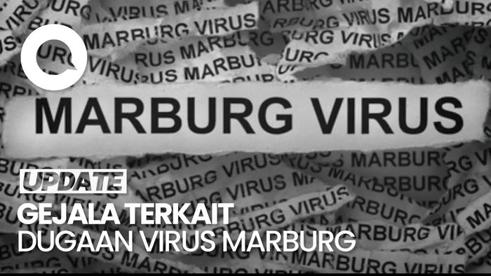 VIdeo: Gejala yang Muncul Terkait Dugaan Virus Marburg di Tanzania