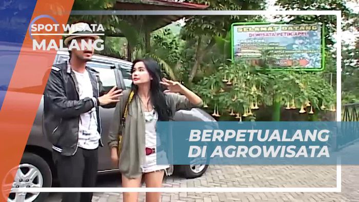 Berkunjung ke Agrowisata Kusuma dan Mengalami Petik Apel di Malang