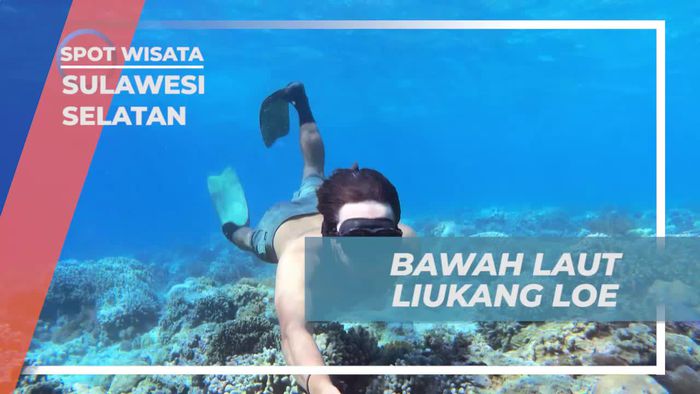 Menyelami Keindahan Bawah Laut Liukang Loe, Sulawesi Selatan