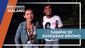 Menyaksikan Keindahan Sunrise di Kawasan Bromo Pasca Petualangan di Malang