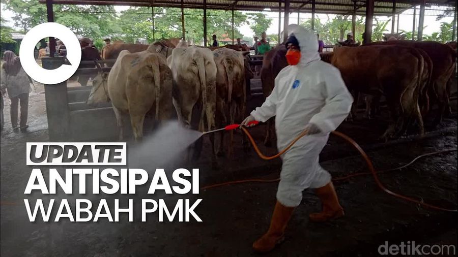 Video: Kementan Siapkan 4 Juta Dosis Vaksin untuk Cegah Wabah PMK