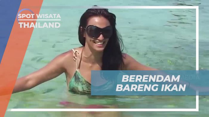 Mendalami Pengalaman Berendam Bersama Ikan di Egg Island, Thailand