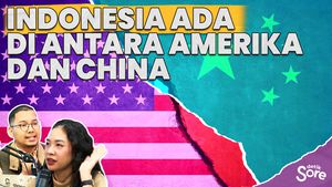 Pengamat Bicara Daya Tawar RI Terhadap Amerika