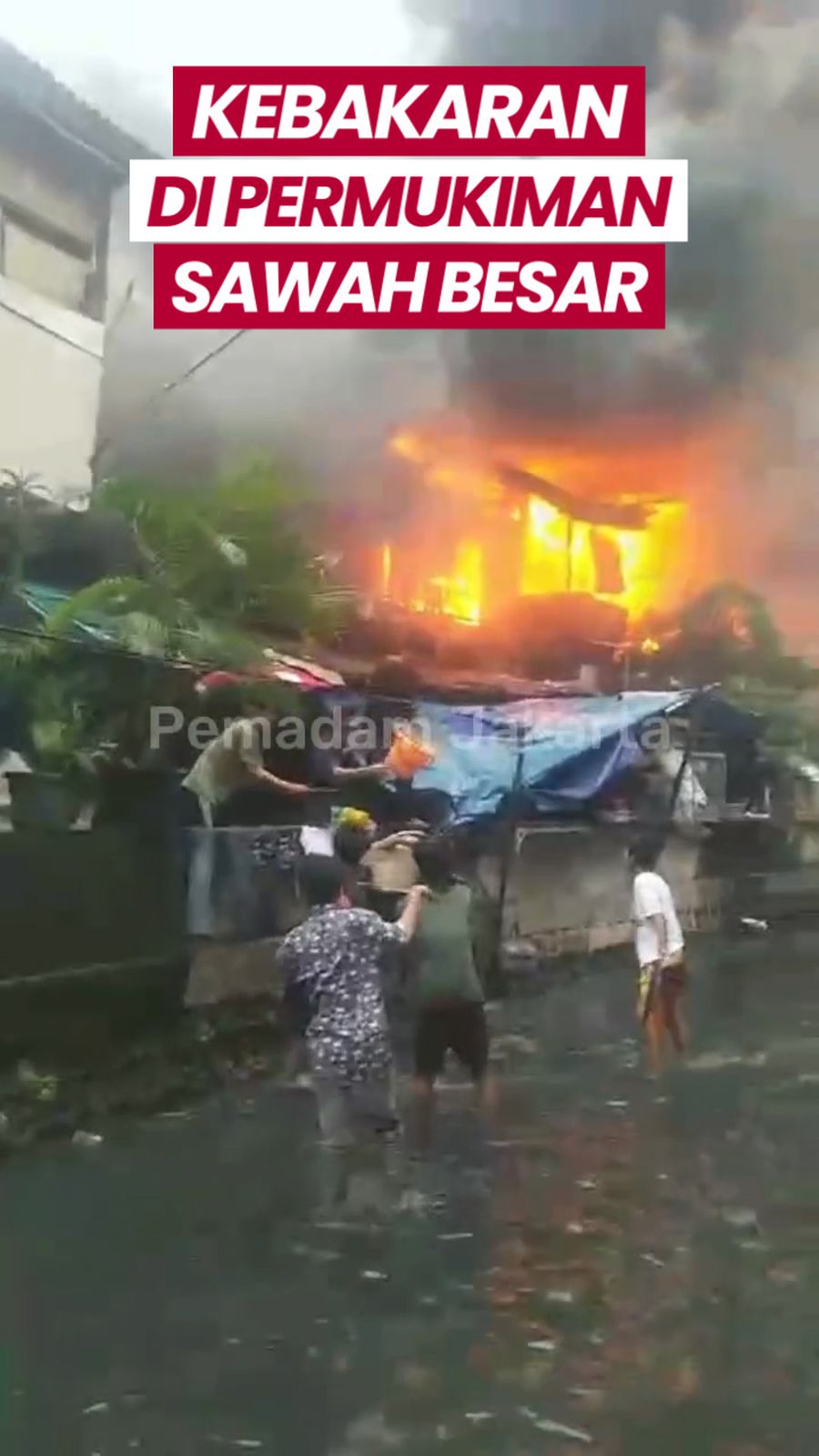 Video Kebakaran di Sawah Besar, Warga Coba Padamkan Pakai Air Kali