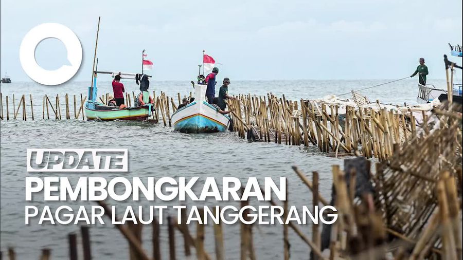 Video: KSAL hingga Titiek Tinjau Pembongkaran Pagar Laut di Tangerang