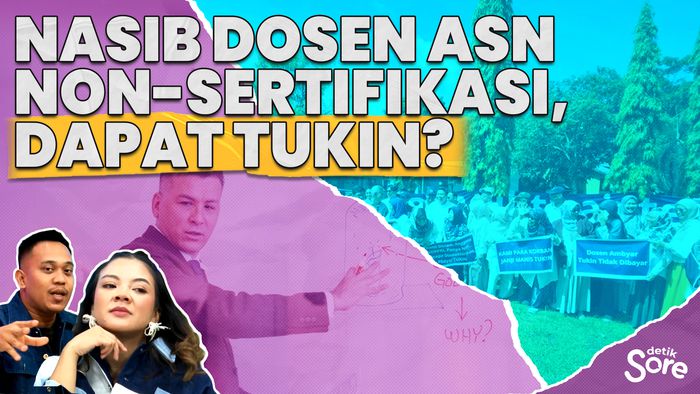Komisi X DPR RI Ungkap Mekanisme Pembagian Tukin Dosen ASN