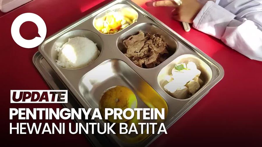 Video: IDAI Ingatkan Pentingnya Protein Hewani di 1.000 Hari Pertama Kehidupan