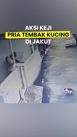 Video: Pria Penembak Kucing Timmy sampai Mati di Jakut Dibekuk