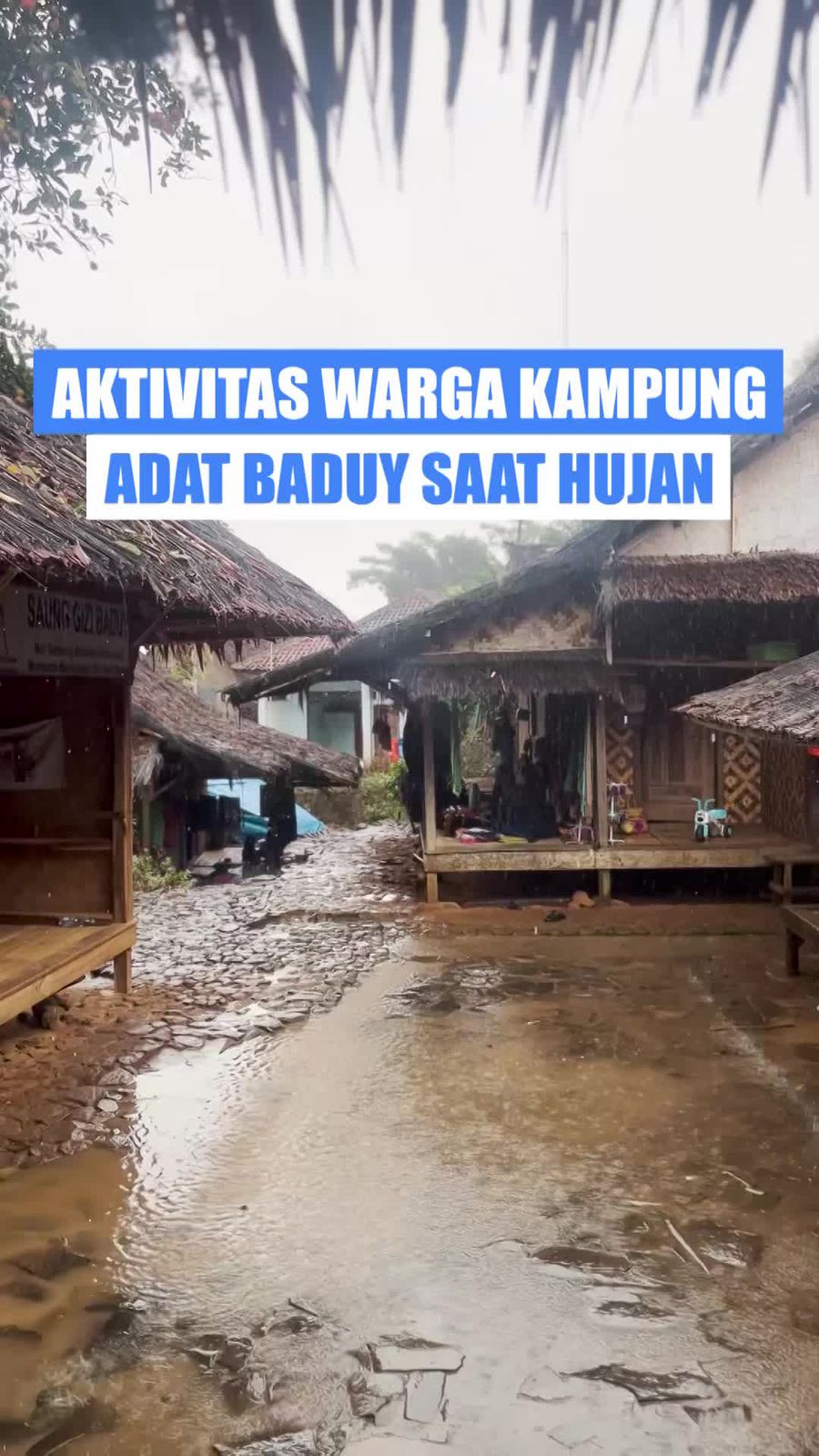 Video: Suasana Syahdu Kampung Adat Baduy saat Diguyur Hujan