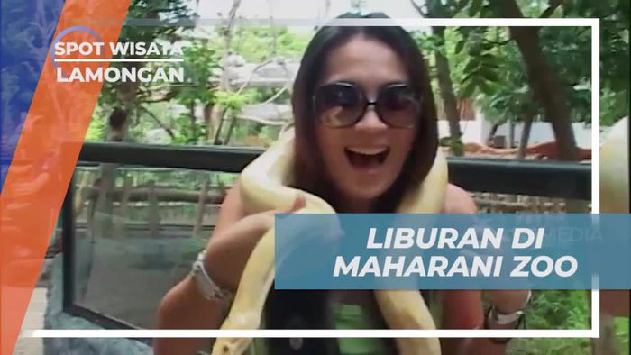 Menghabiskan Waktu di Maharani Zoo & Goa, Lamongan