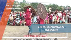 Mengikuti Pertarungan Karaci yang Unik di Sumbawa