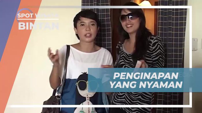 Menyusuri Keindahan Hutan Mangrove dengan Speed Boat di Bintan