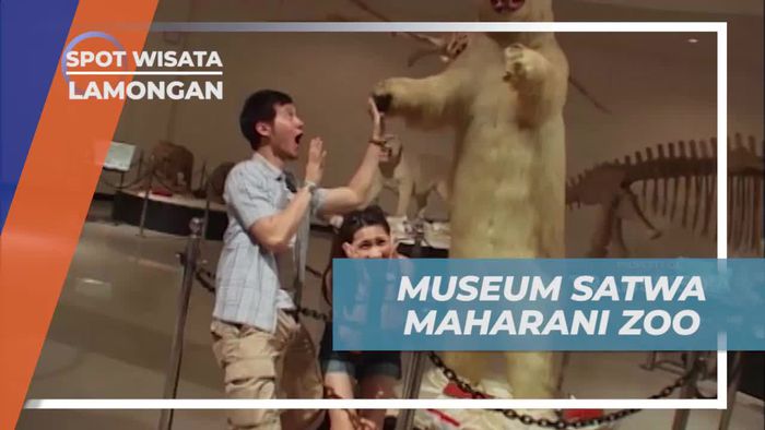Menjelajahi Museum Satwa di Maharani Zoo, Lamongan