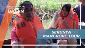 Mengikuti Mangrove Tour yang Menakjubkan di Batam
