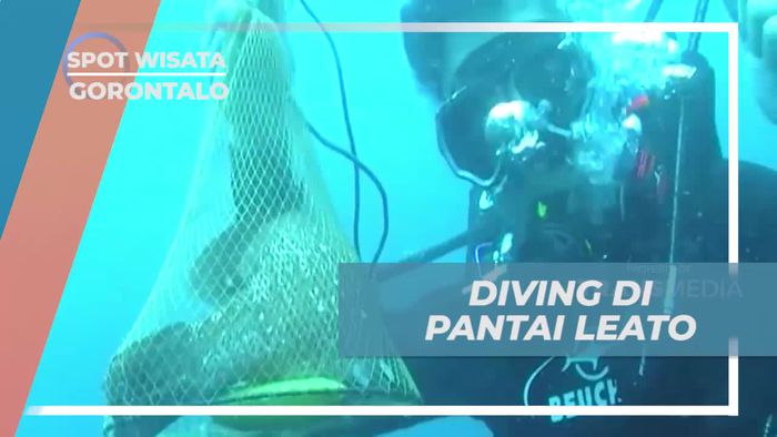Menikmati Keindahan Bawah Laut saat Diving di Pantai Leato, Gorontalo