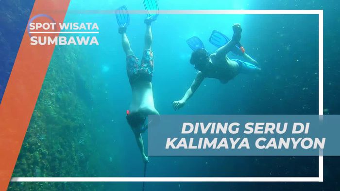 Menjelajahi Keindahan Kalimaya Canyon dengan Diving di Sumbawa