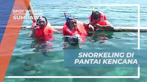 Snorkling Menyelam di Keindahan Pantai Kencana, Sumbawa