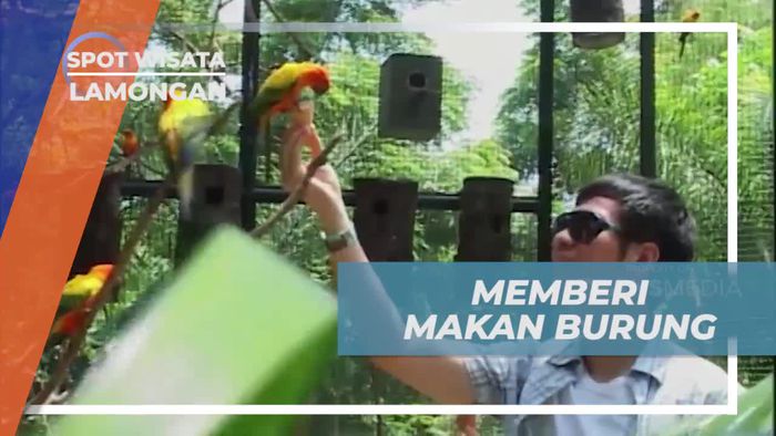 Memberi Makan Burung di Maharani Zoo, Lamongan