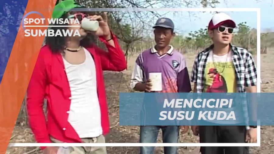 Mencicipi Rasanya Susu Kuda di Desa Penyaring, Sumbawa