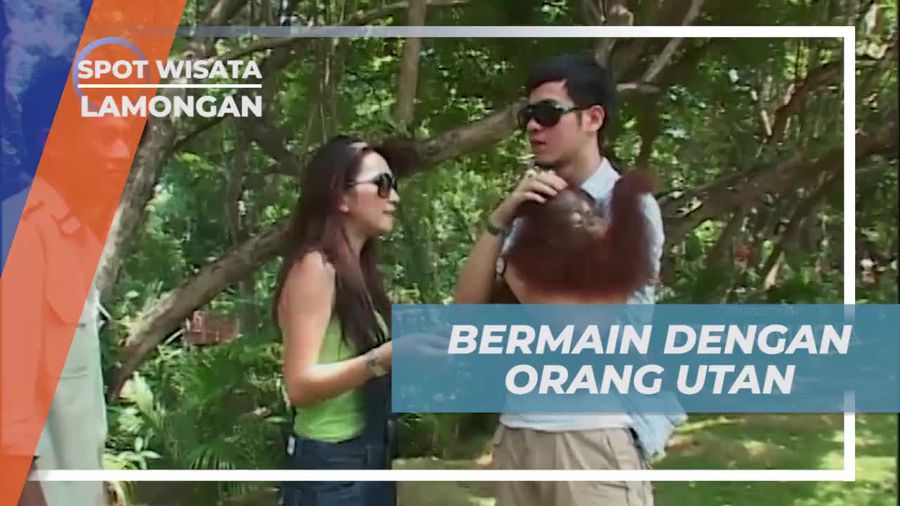 Bermain Seru dengan Orang Utan di Maharani Zoo, Lamongan