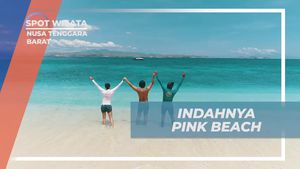 Menelusuri Keindahan Pink Beach di Nusa Tenggara Barat