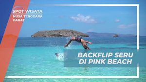 Melakukan Backflip Seru di Pink Beach, Nusa Tenggara Barat