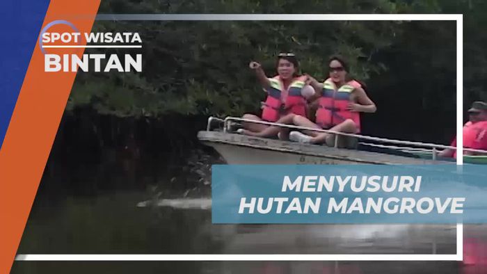 Menjelajahi Hutan Mangrove yang Asri dengan Speed Boat di Bintan