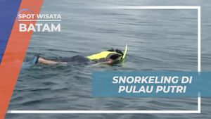 Snorkling di Keindahan Laut Pulau Putri, Batam