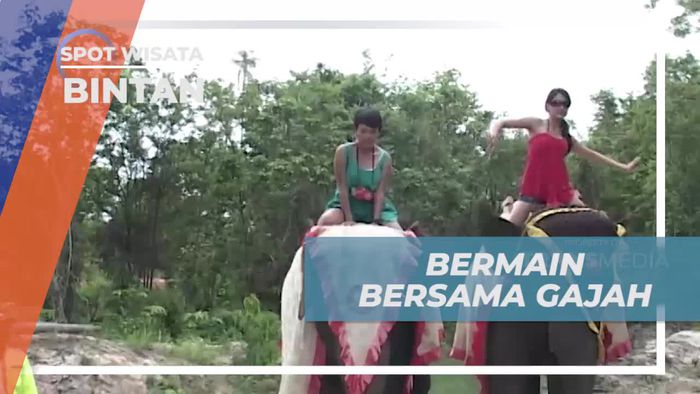 Bermain dan Menunggang Gajah di Jumbo Park, Bintan