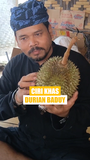 Video: Beda Durian Khas Baduy dengan Durian Lainnya