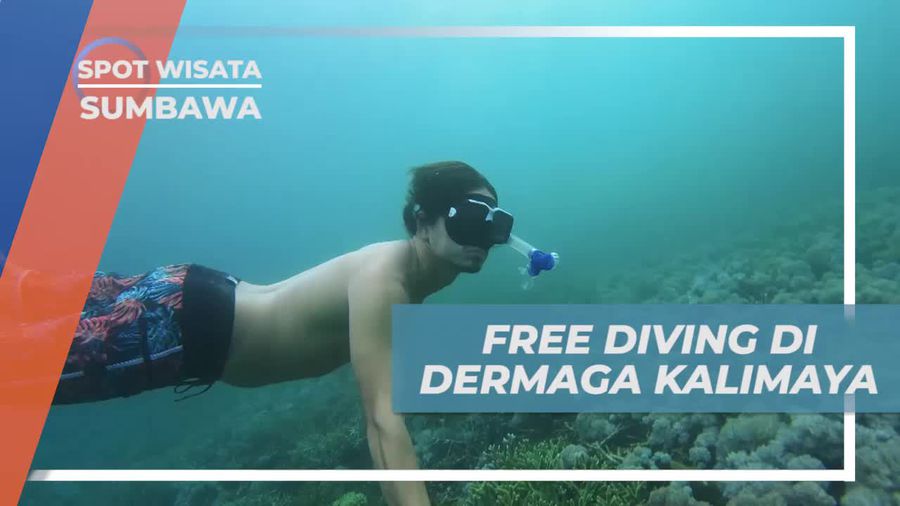 Menyelami Keindahan Dunia Bawah Laut di Dermaga Kalimaya, Sumbawa
