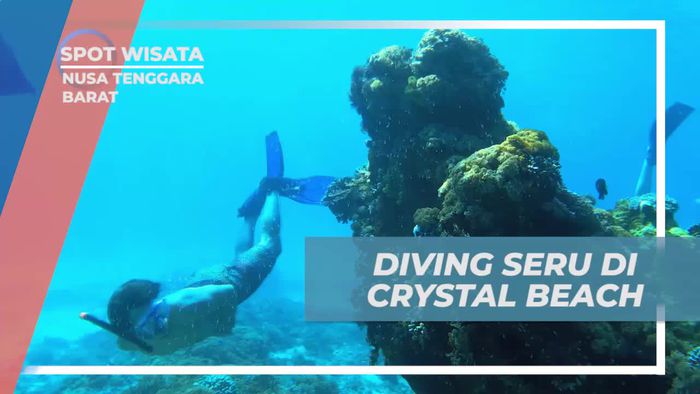 Bermain Diving Seru di Crystal Beach, Nusa Tenggara Barat