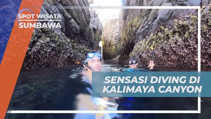 Menghadapi Arus Laut Kencang Saat Diving di Kalimaya Canyon, Sumbawa