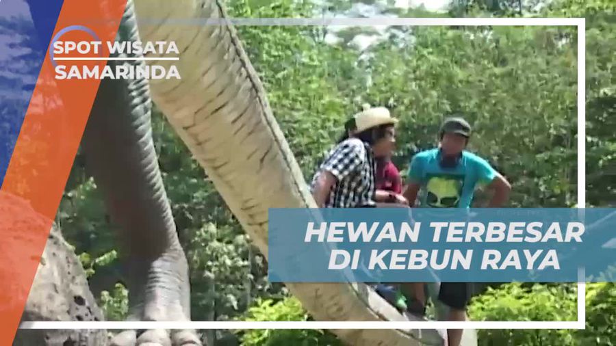 Menunggangi Patung Dinosaurus Raksasa di Kebun Raya Unmul, Samarinda