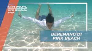 Berenang Seru di Pink Beach, Nusa Tenggara Barat