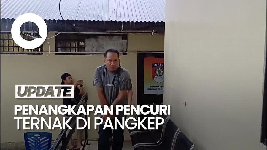 Video Polisi Dobrak Pintu Rumah Pelaku Pencurian Ternak di Pangkep