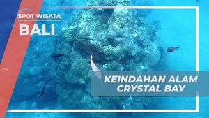 Menyelami Keindahan Alam di Crystal Bay, Bali