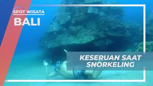 Mengabadikan Momen Seru Saat Snorkeling di Crystal Bay, Bali