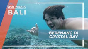 Berenang dengan Ikan di Crystal Bay, Bali