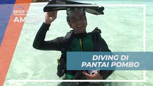 Diving di Pantai Pombo yang Memesona di Ambon