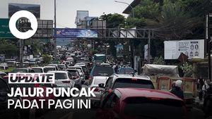 Video: Jalur Puncak Padat Pagi Ini, One Way Diterapkan